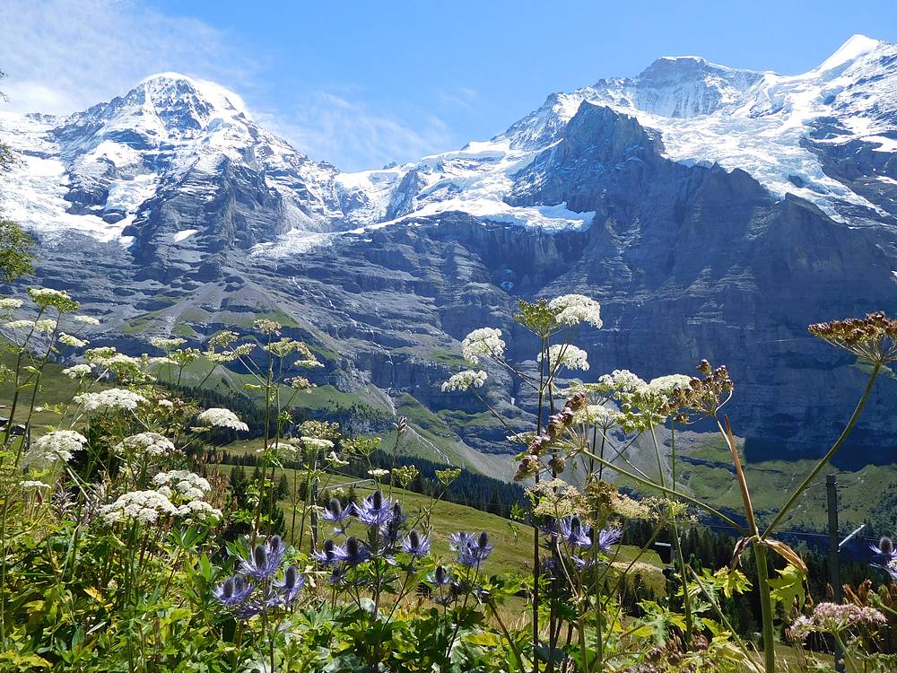 ヴェンゲルンアルプ